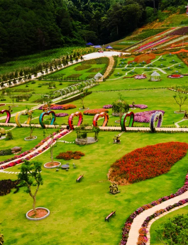 DỰ ÁN KHU DU LỊCH LTC- RỪNG THÔNG NÚI VOI