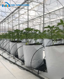 Ghim nhỏ giọt tưới cây trồng bịch giá thể