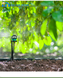 Tưới phun mưa cục bộ