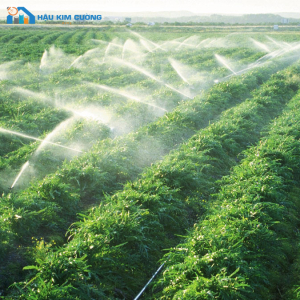 HỆ THỐNG TƯỚI PHUN MƯA