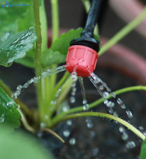 Đầu tưới nhỏ giọt